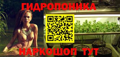 стаф Рязань