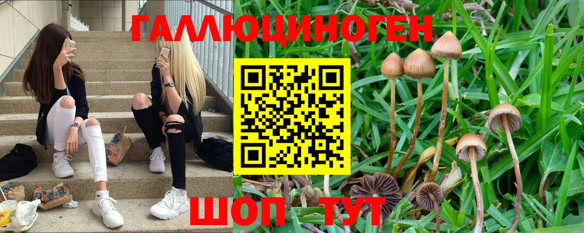 Галлюциногенные грибы мицелий Чистополь