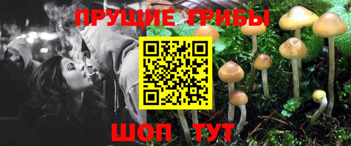 Псилоцибиновые грибы Magic Shrooms  Вход с VPN  Чистополь  Галлюциногенные грибы Cubensis 